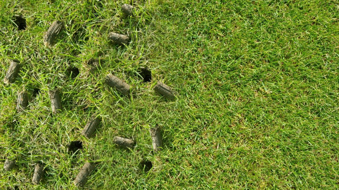 Lawn Aeration Plugs